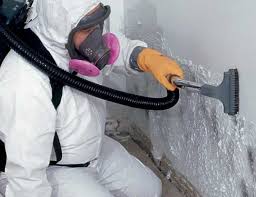 Best HVAC Mold Inspection and Cleaning  in Dove Valley, CO